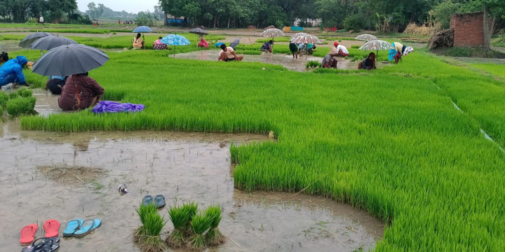 प्रसुन्नालाई ‘युके ब्युटी एण्ड ब्रेन’ को तेस्रो उपाधि
